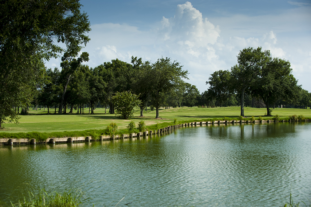 Gallery Bay Forest Golf Course