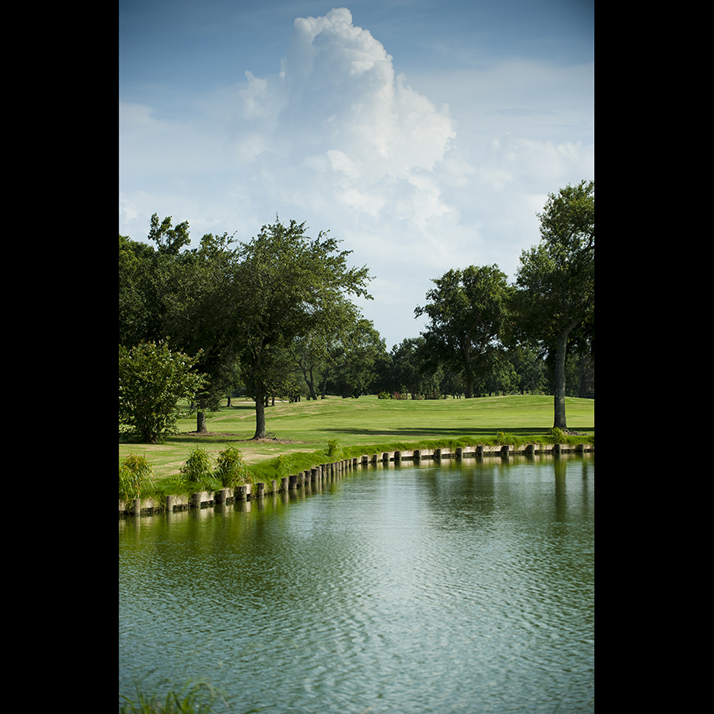 Gallery Bay Forest Golf Course